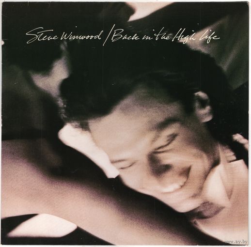 LP Steve Winwood (Traffic, Blind Faith) 'Back in the High Life'