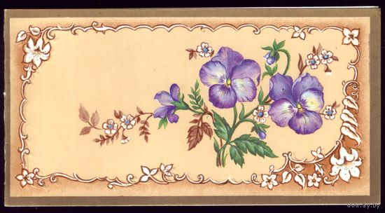 1990 год Т.Сяглова