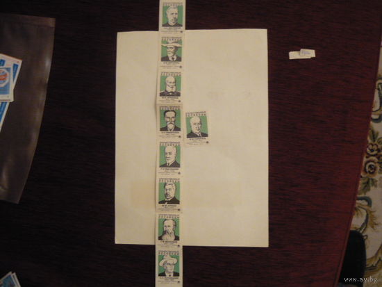 Спичечные этикетки:Отечественные лесоводы.Туринск-85