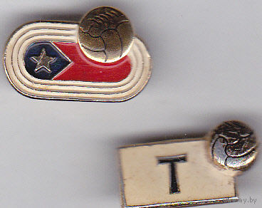 Футбольные клубы: ЦСКА и Торпедо (Москва).