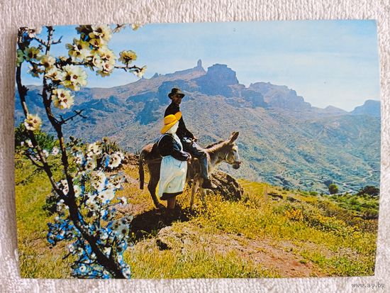 Этнография. Большие Канары, Техеда. Роке Нубло и Бентайга на заднем плане