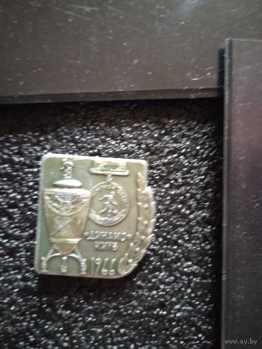 Динамо-киев 1966