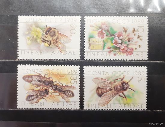 СССР. 1989 год. Фауна. Пчёлы (1272)