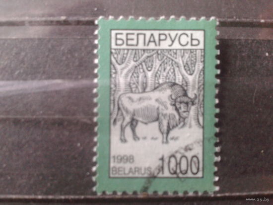 1998 Стандарт, зубр