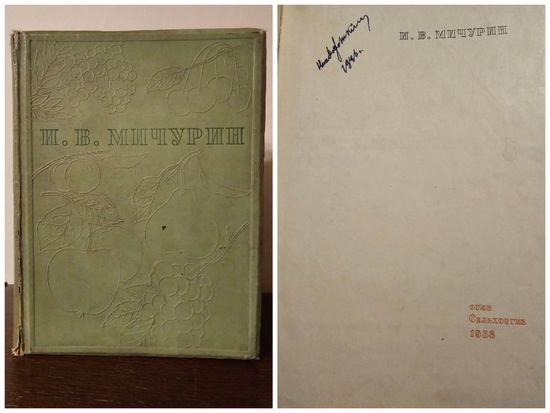 Мичурин. Итоги шестидесятилетних работ 1936г