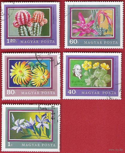 Венгрия 1971 Из серии "Ботанический сад Бухареста"