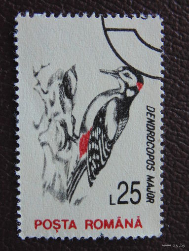 Румыния 1993 г. Птицы.
