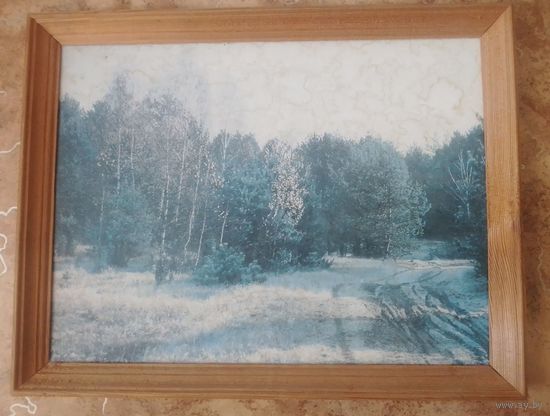 Пейзаж(старая репродукция)