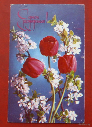 8 марта! Чистая. 1975 года. Костенко. 1730.