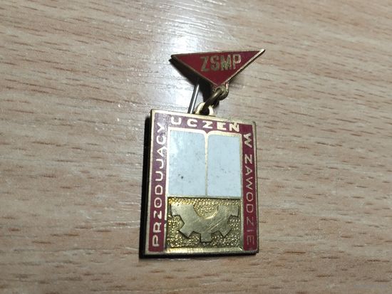 Лучший ученик по профессии. Польша