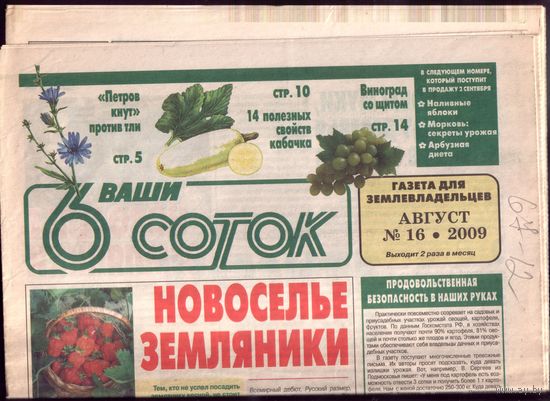6 соток 16-2009