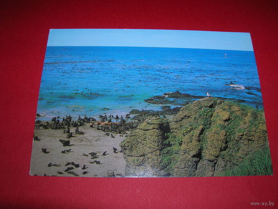 Камчатка Остров Беринга 1983 год чистая