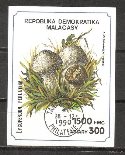 БА Малагаси 1990 Грибы