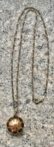 Кулон. Кулон на цепочке