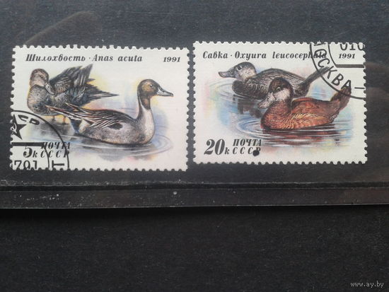 1991. Утки