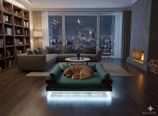 Левитирующая светящаяся лежанка для собаки