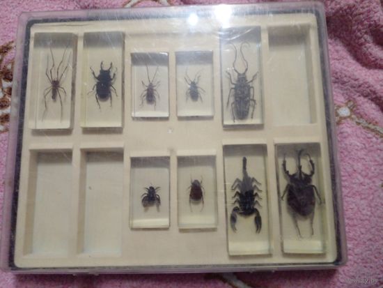 Коллекционные ''Насекомые и их Знакомые'