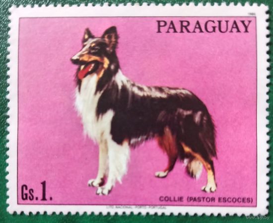 Парагвай 1986. Породы собак. Колли