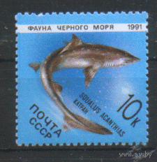 Заг. 6216. 1991. Колючая акула катран. ЧИсТ.