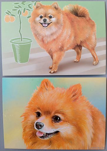 Собака. Из серии "Домашние питомцы". Открытки, глянец