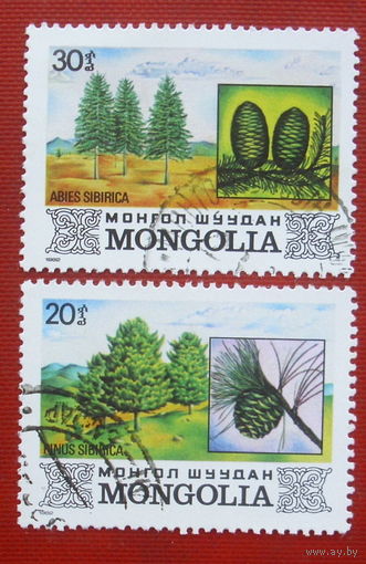 Монголия. Флора. ( 2 марки ) 1982 года. 3-12.