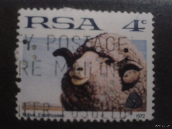 ЮАР 1972 стандарт, баран