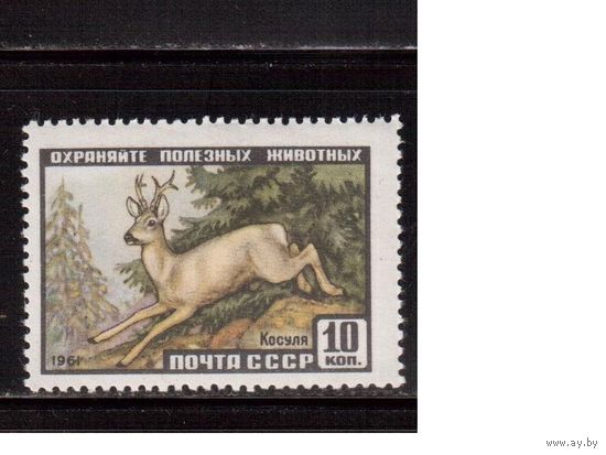 СССР-1961, (Заг.2447)  * ( след от накл.) , Фауна, Косуля