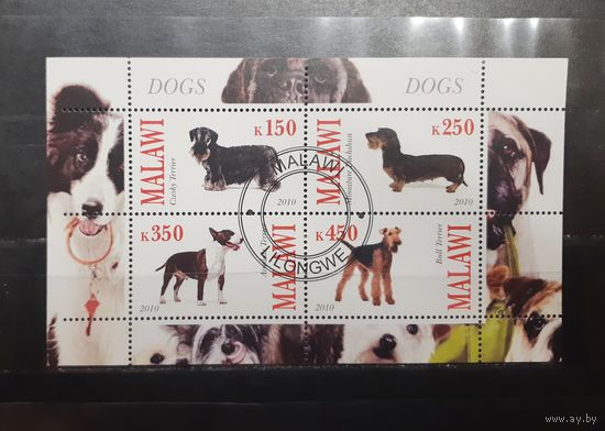 Малави. 2010 год. Фауна. Собаки. Блок (852)
