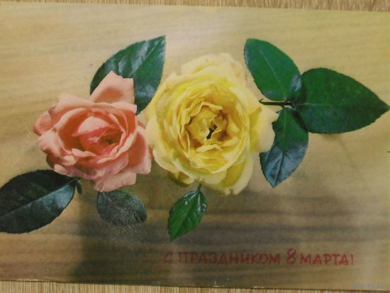 ПОДПИСАННАЯ ОТКРЫТКА СССР.  "С ПРАЗДНИКОМ 8 МАРТА." ФОТО. Б. МАКСИМОВА. 1974 год.