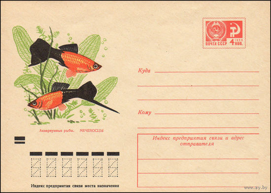 Художественный маркированный конверт СССР N 7831 (22.09.1971) Аквариумные рыбы. Меченосцы