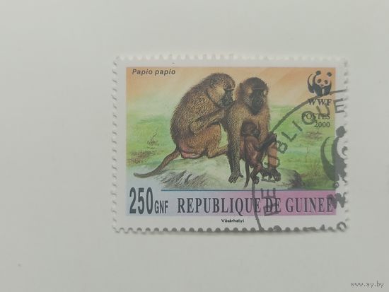 Гвинея 2000. Обезьяны