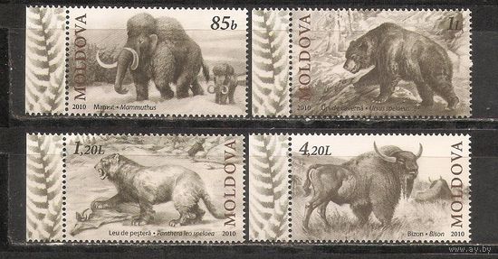 ФФ1 Молдова 2010 Фауна