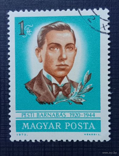 Марка Венгрия 1973