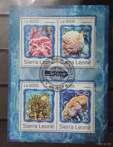 ЛИСТ ФАУНА рыбы морские обитатели  СТО