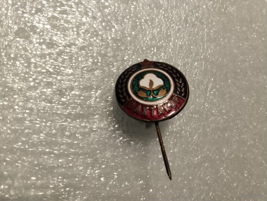 Футбольный клуб Пахтакор Ташкент