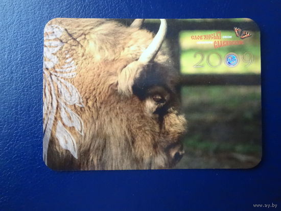 Календарик 2009 г.  Зубр.