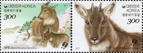 Южная Корея 2017. Фауна. Горал. 2 марки Mi 3185-86