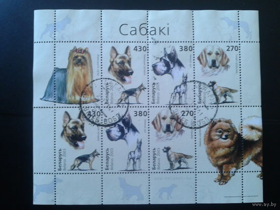 2003 Собаки Блок