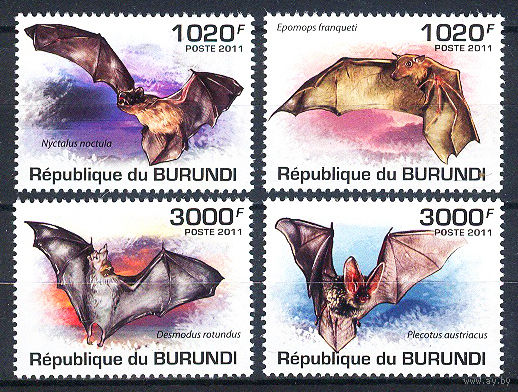 2011 Бурунди. Летучие мыши