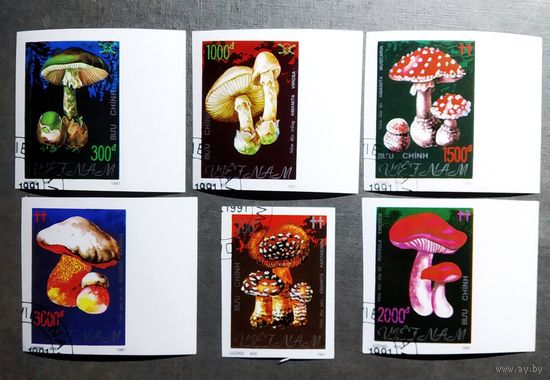 Марки Вьетнам 1991 год Грибы