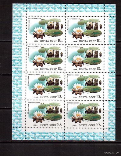 СССР-1984, (Заг.5436) **,  м/л, Кувшинка
