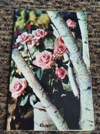 Открытка Поздравляем Артамонова 71г двойная чистая