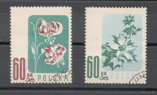 Польша.1957.Цветы (2 марки)