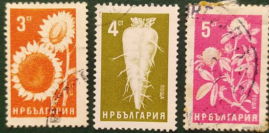 Болгария 1965 растения 3 из 7.
