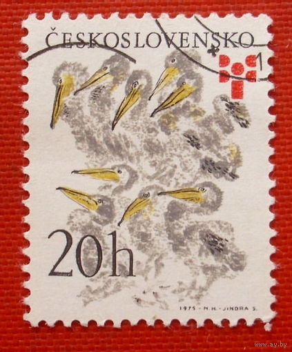 Чехословакия. Птицы. ( 1 марка ) 1975 года.