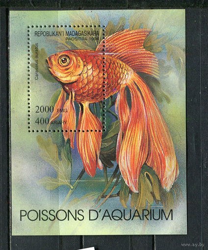 Республика Мадагаскар - 1994 - Рыбки - (пятно на клее) - [Mi. bl. 263] - 1 блок. MNH.  (Лот 51JQ)-T3P34