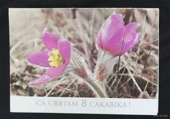 Лихтарович Г. Са святам 8 сакавiка! Двойная. 1988 год открытка БССР #0126-KM1P63