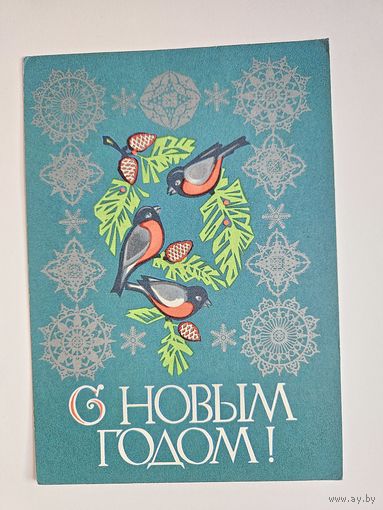 Салтанов 1973 с новым годом