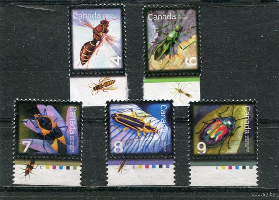 Канада. Фауна. Насекомые