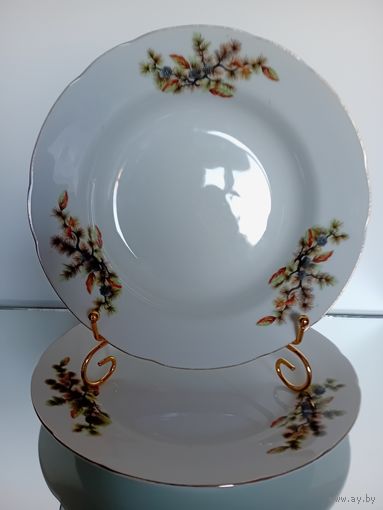 Japan. Япония.Тарелка. Костяной Фарфор. Кедровая ветка. Шишки. Диаметр 23 см